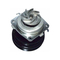 ISO-zertifizierte Wasserpumpe für Autoteile 46444355 für Fiat LANCIA
